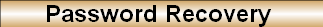 Password Recovery 